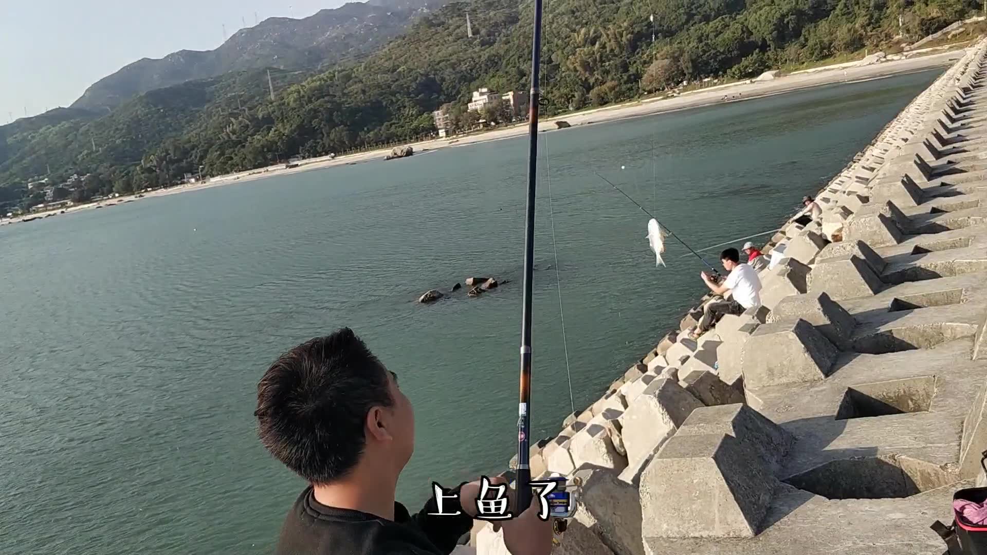 南澳岛海钓(南澳岛海钓视频) 南澳岛海钓(南澳岛海钓视频)