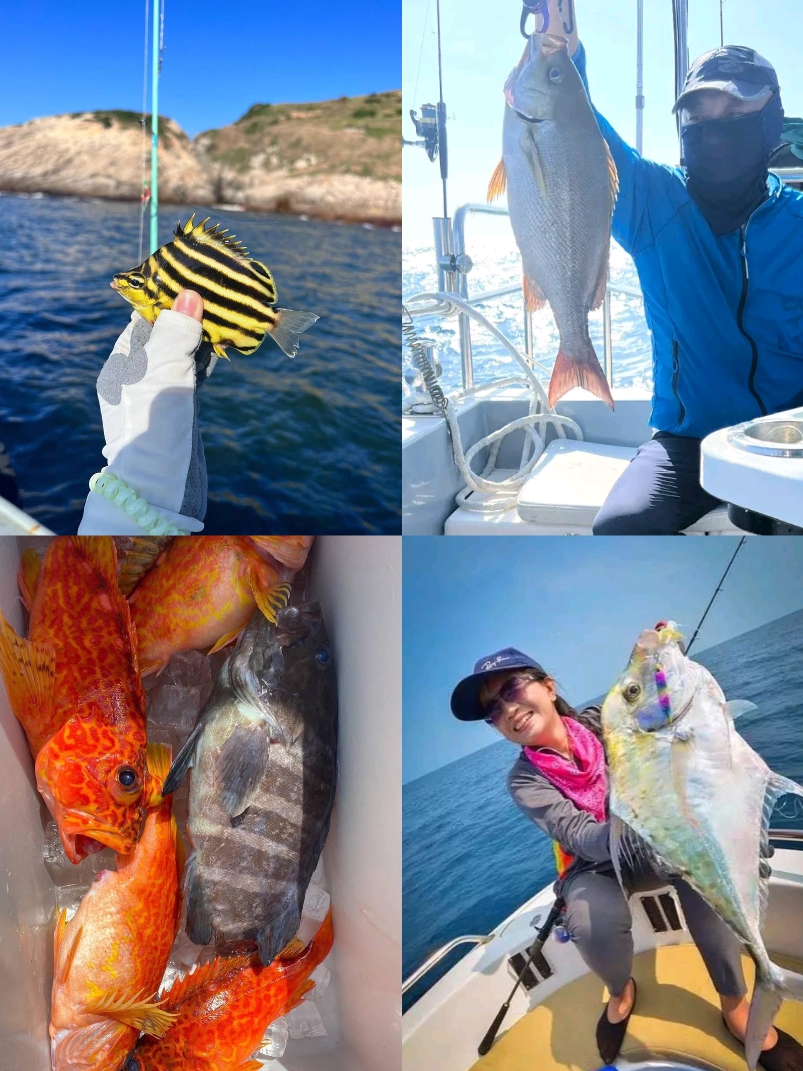 阳西海钓地点(阳西钓鱼的地方) 阳西海钓地点(阳西钓鱼的地方)