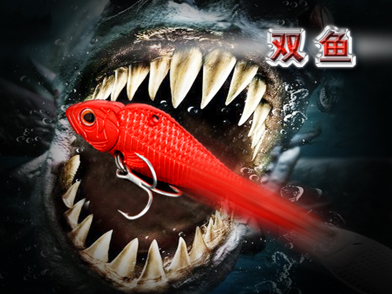 路亚公司招聘(中国路亚十大品牌)