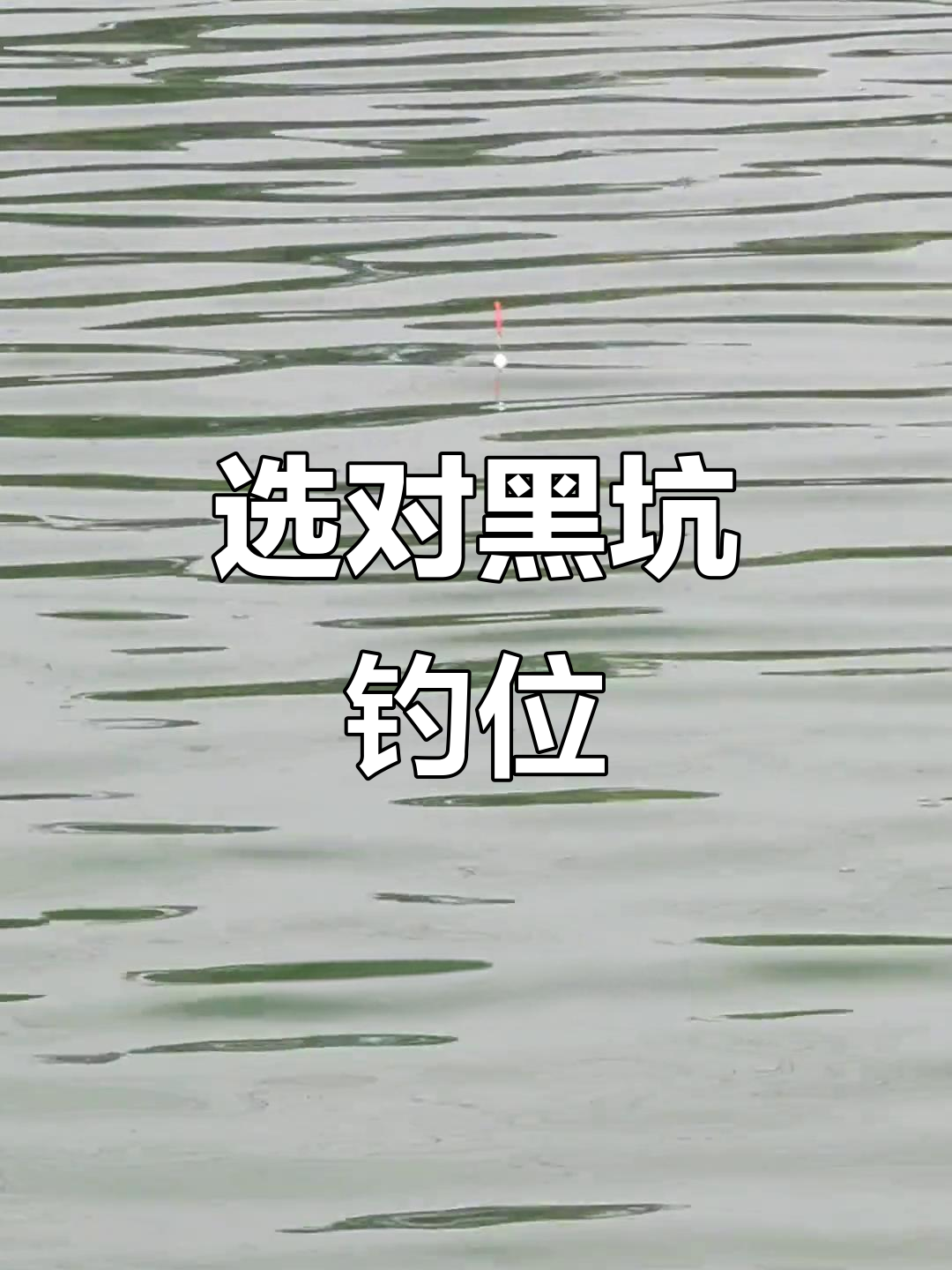 怎么黑坑头水鱼技巧(黑坑鱼浮头有哪些原因)