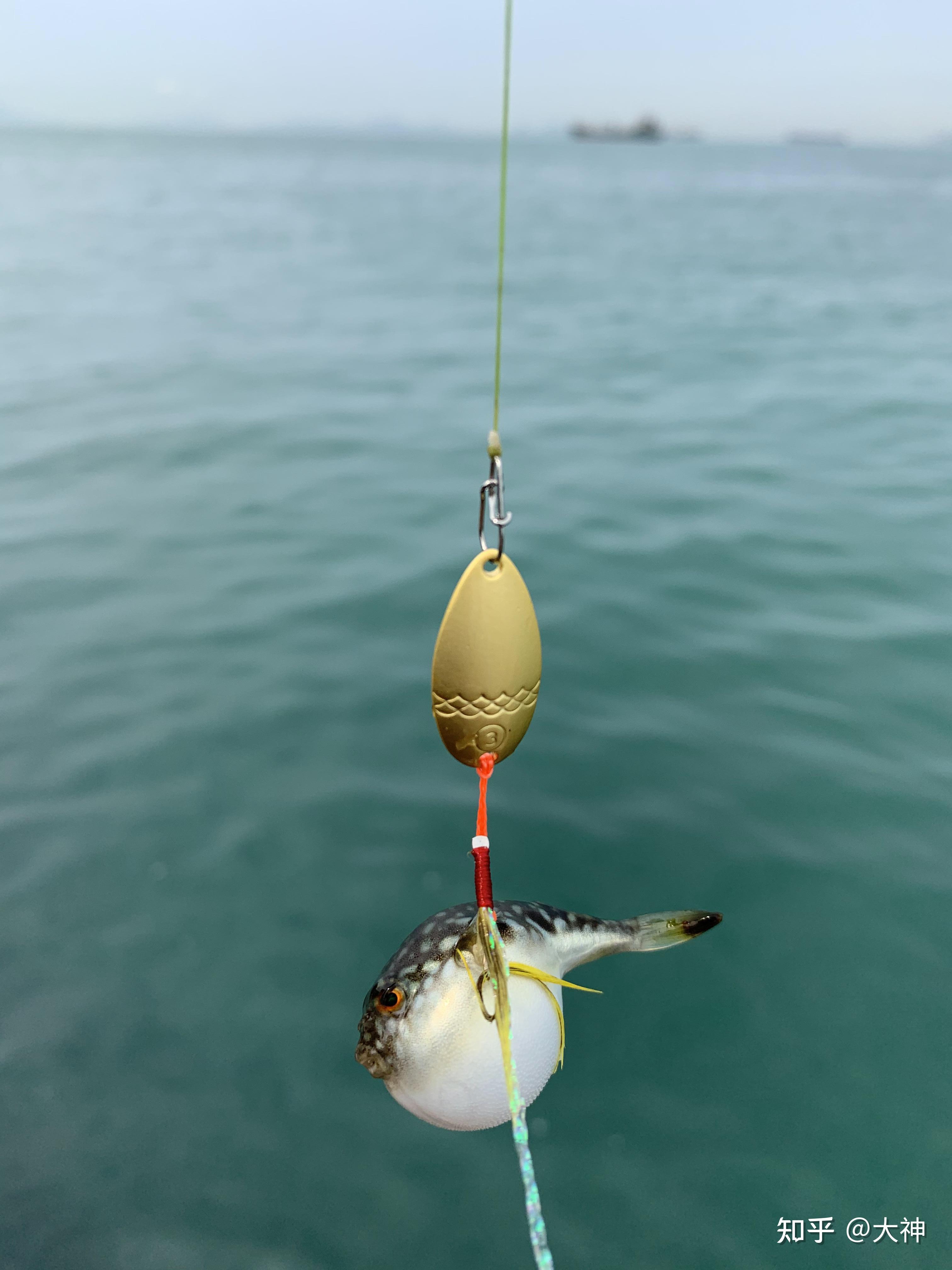 周口适合路亚么(周口玩的地方在哪) 周口适合路亚么(周口玩的地方在哪)