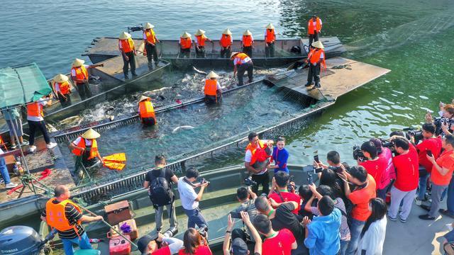 深圳南湾渔具店(深圳南湾渔具店电话)