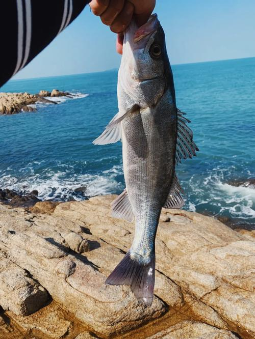 天津东疆路亚(天津路亚野钓去哪)