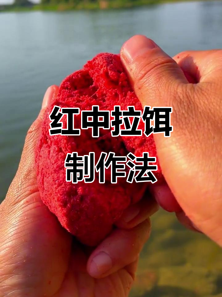 南方红虫钓鱼技巧(南方钓鱼用红虫好用吗)