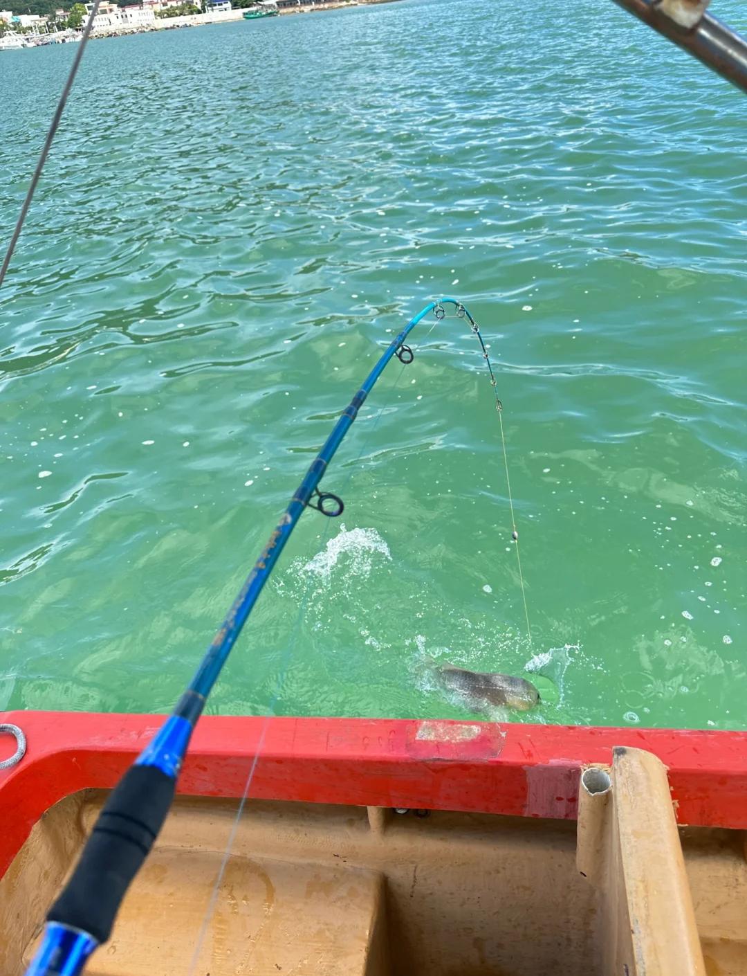 深圳福永海钓(深圳福永哪里有海)