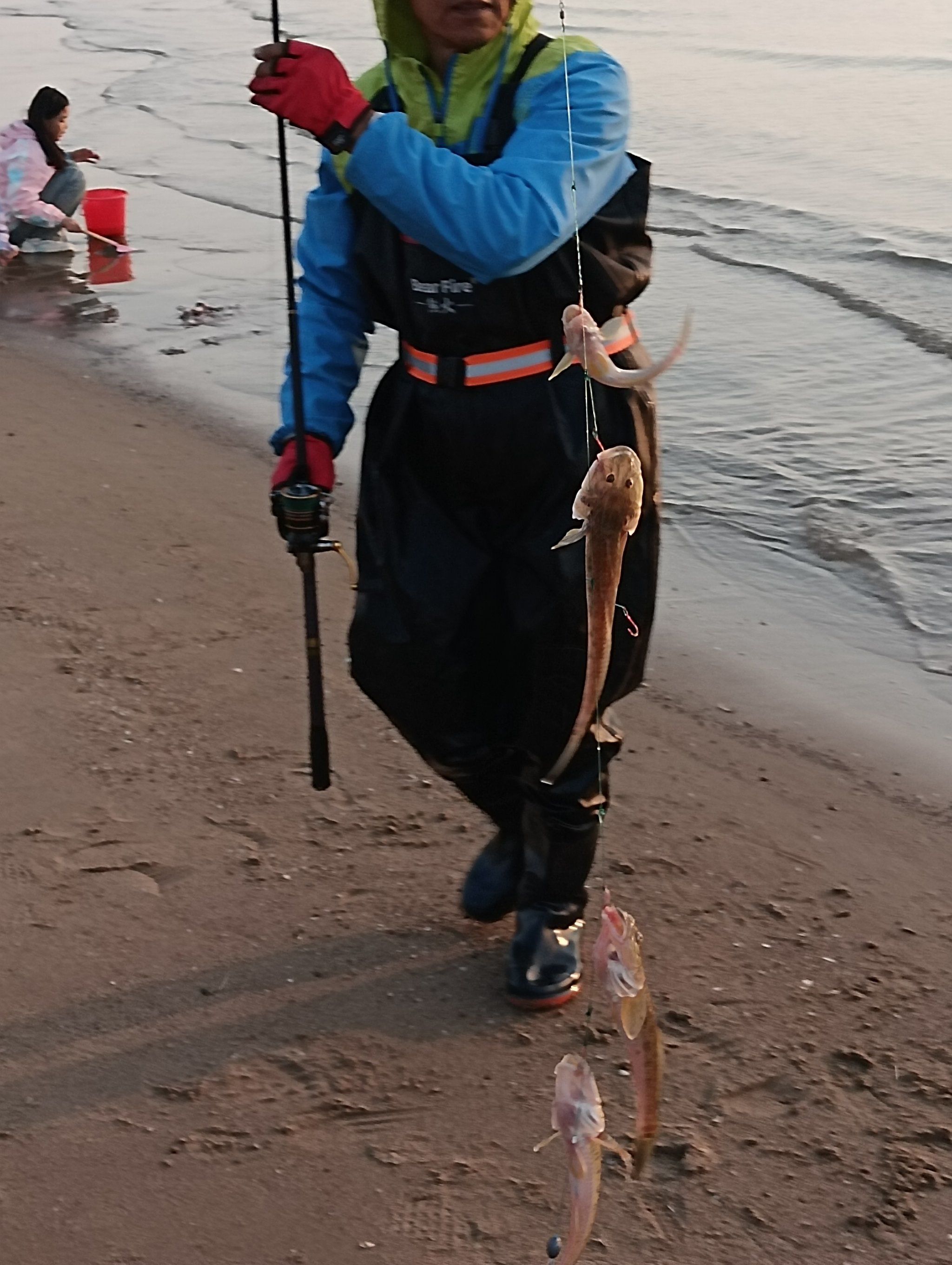 北方沿海海钓(北方海钓哪里好)