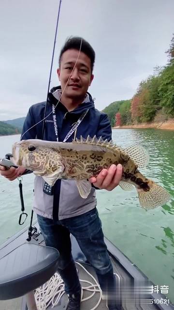 路亚黄金联赛2017(路亚黄金联赛2021冠军) 路亚黄金联赛2017(路亚黄金联赛2021冠军)