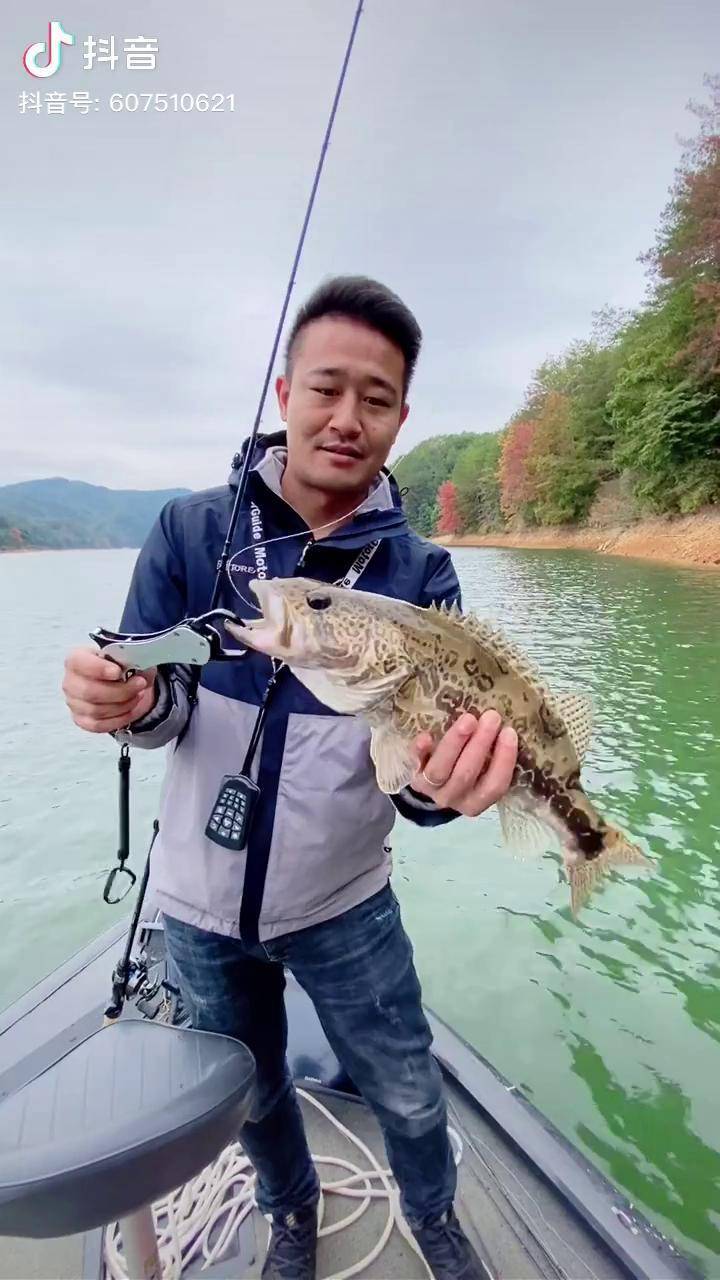 路亚黄金联赛2017(路亚黄金联赛2021冠军) 路亚黄金联赛2017(路亚黄金联赛2021冠军)