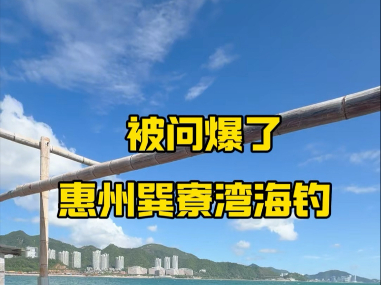 鱼排海钓(鱼排海钓用什么饵好) 鱼排海钓(鱼排海钓用什么饵好)