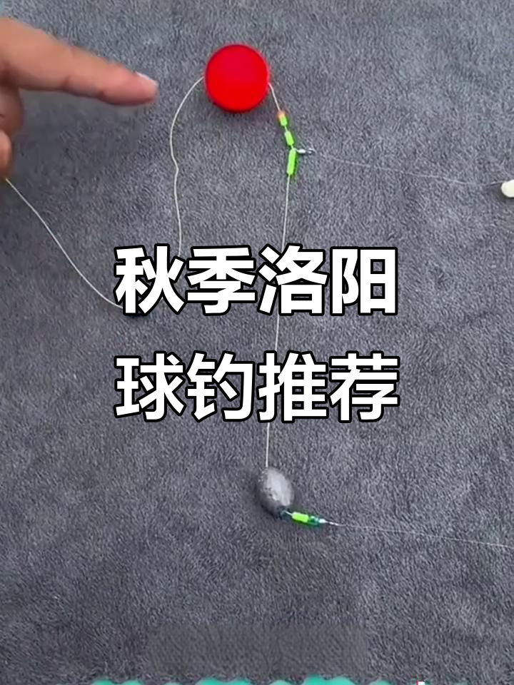 钓鱼新手技巧视频教程(钓鱼新手技巧视频教程大全) 钓鱼新手技巧视频教程(钓鱼新手技巧视频教程大全)