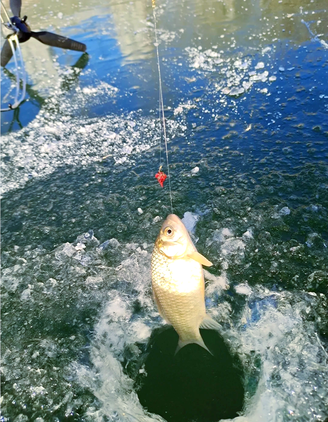 东山冬天海钓(东山岛钓鱼一人多少钱) 东山冬天海钓(东山岛钓鱼一人多少钱)