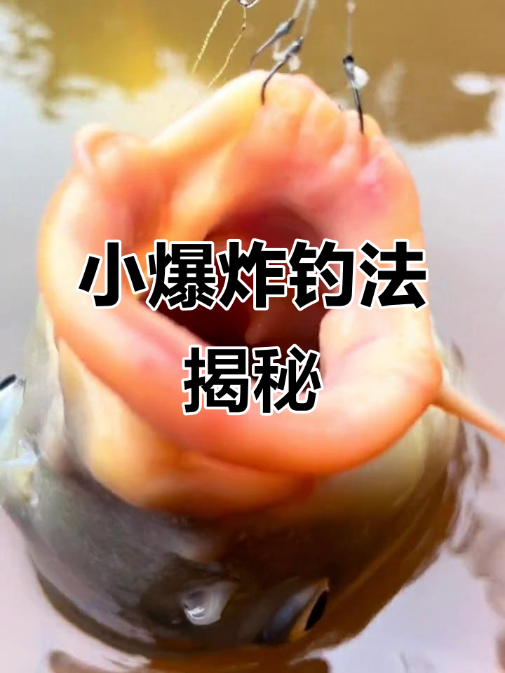 爆炸钓鱼技巧视频(爆炸钓鱼技巧视频教学)