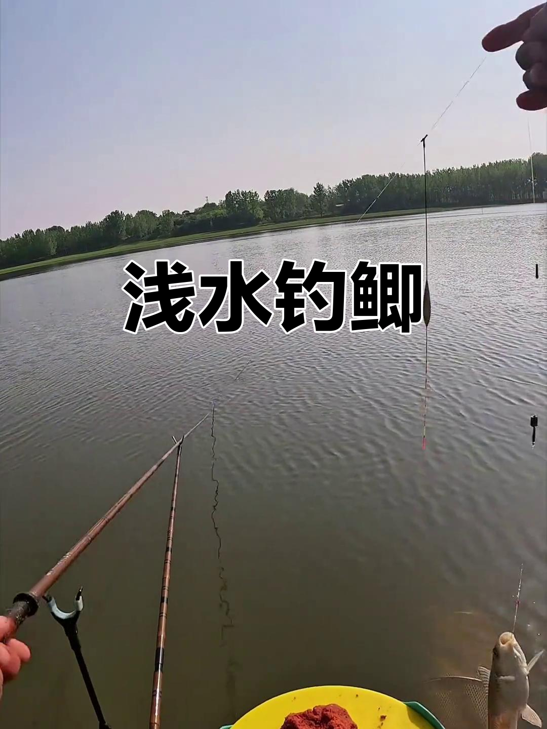 水库浅水钓鱼技巧(水库浅水钓鱼技巧和方法)