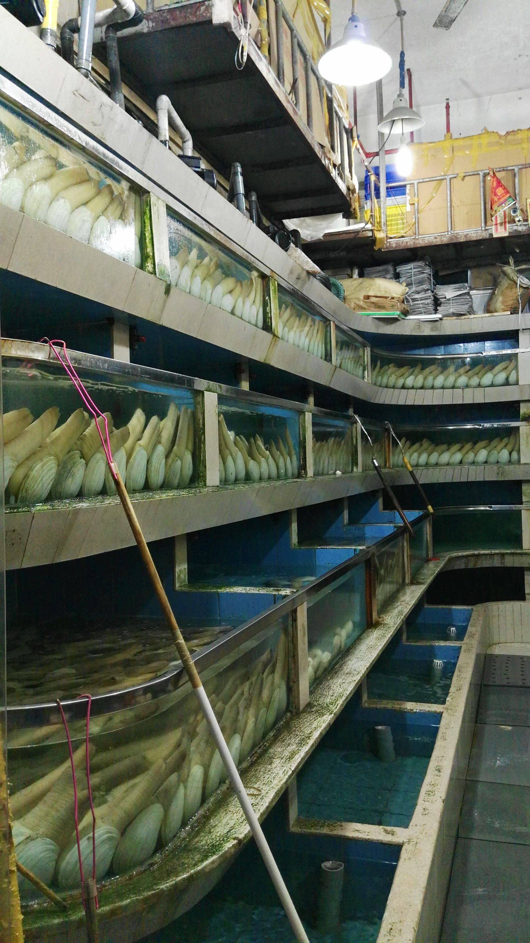 佛山哪里有渔具批发(佛山哪里有渔具批发市场)