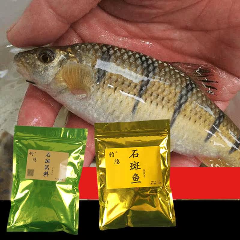 底钓淡水石斑技巧(钓淡水石斑鱼技巧绝招) 底钓淡水石斑技巧(钓淡水石斑鱼技巧绝招)