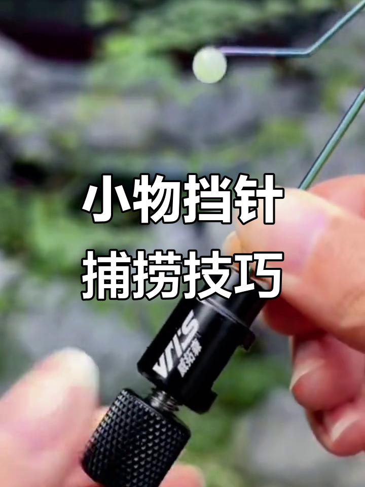 捕捉小鱼技巧(捕捉小鱼技巧视频) 捕捉小鱼技巧(捕捉小鱼技巧视频)