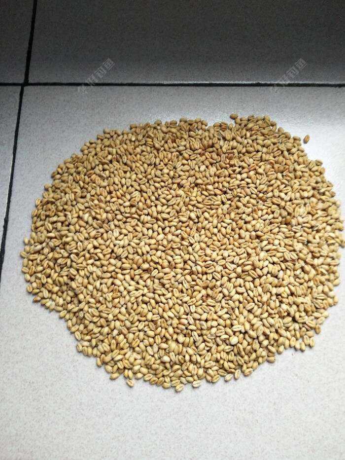 卡麦钓鲤鱼技巧(卡麦钓鲤鱼技巧图解) 卡麦钓鲤鱼技巧(卡麦钓鲤鱼技巧图解)