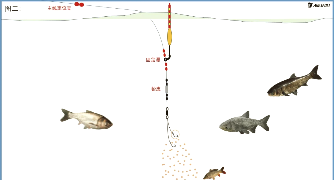 淡水矶钓抛投技巧(淡水矶钓技巧视频教程) 淡水矶钓抛投技巧(淡水矶钓技巧视频教程)