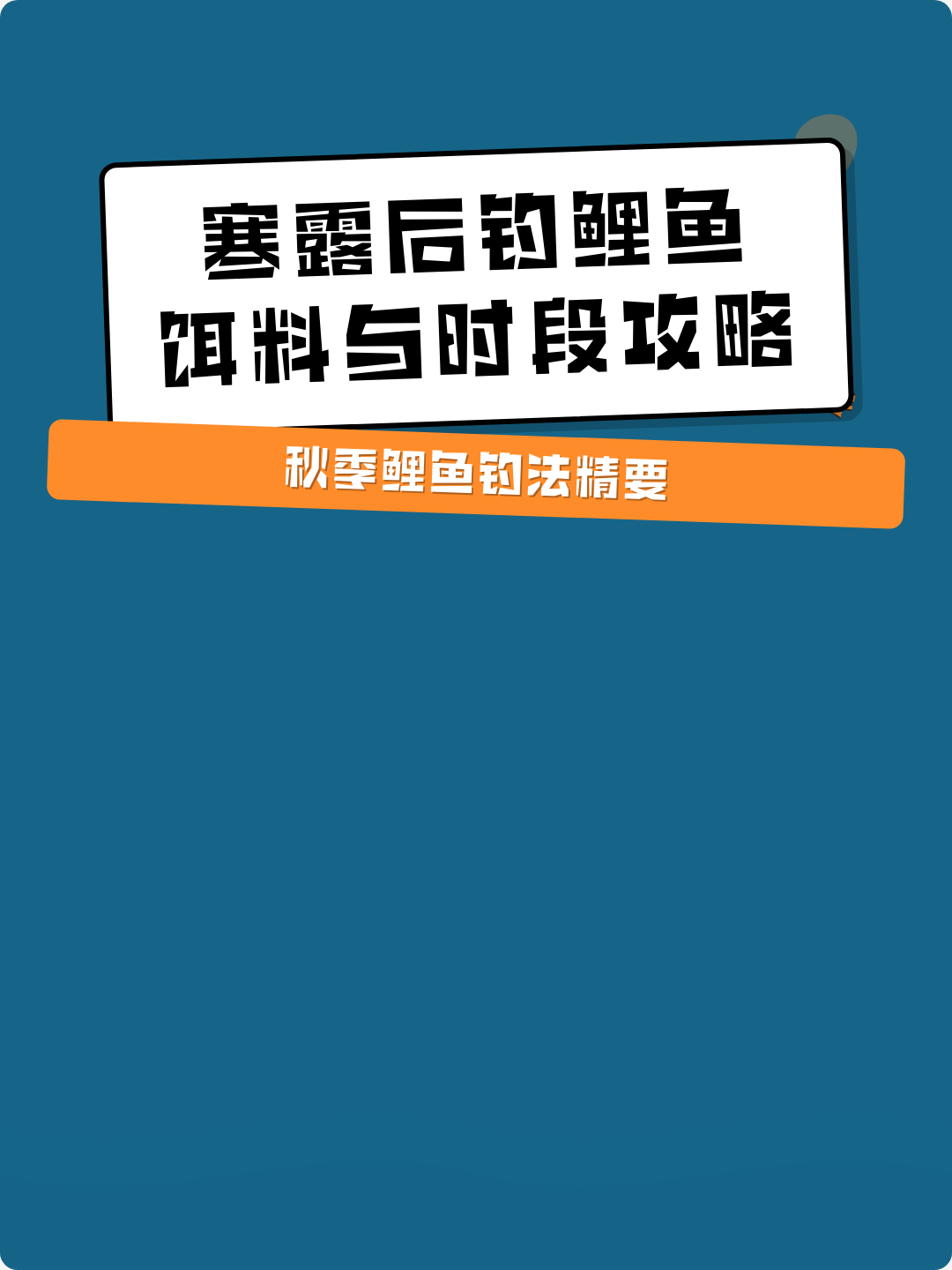 寒露后钓鲤鱼有何技巧(寒露以后还能钓到鲤鱼吗)