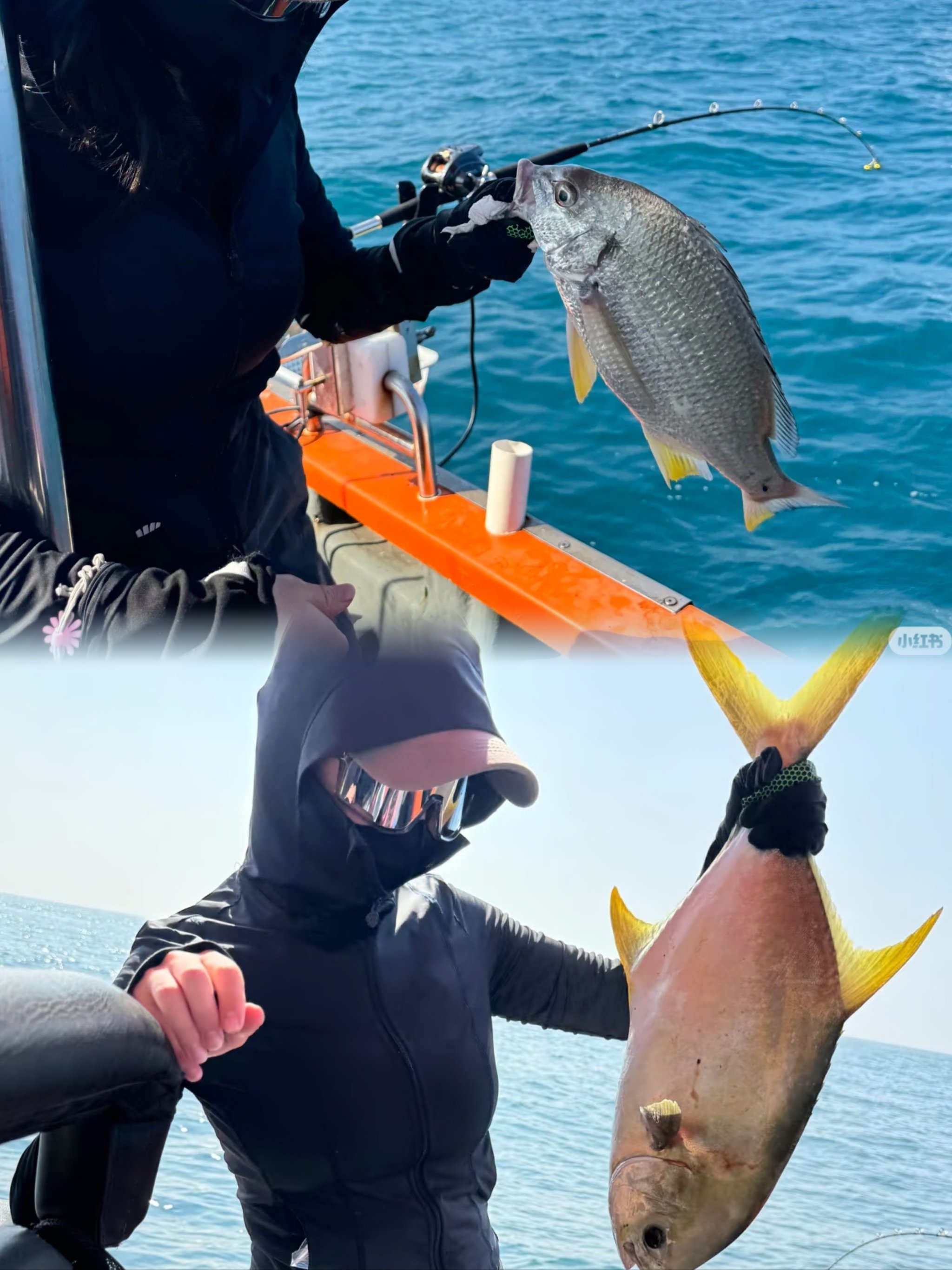 海钓达人项目(海钓玩家全集视频) 海钓达人项目(海钓玩家全集视频)