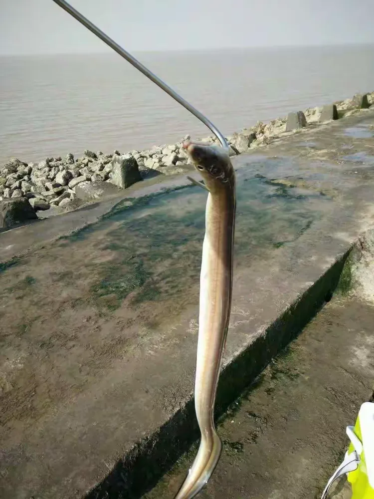 2017塘沽海钓(天津塘沽免费海钓地点) 2017塘沽海钓(天津塘沽免费海钓地点)