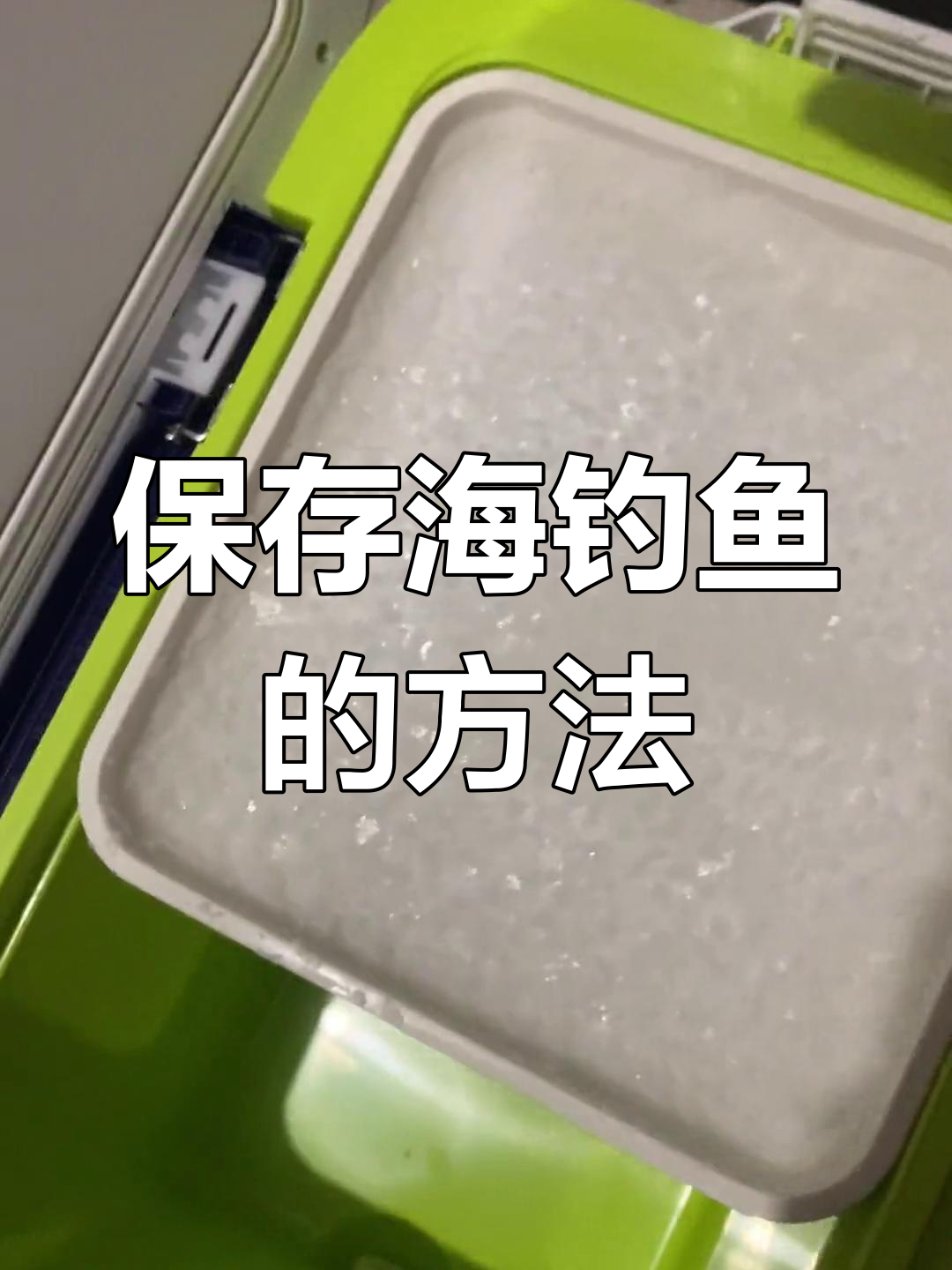 如何钓鱼海钓(钓鱼海钓如何绑钓)