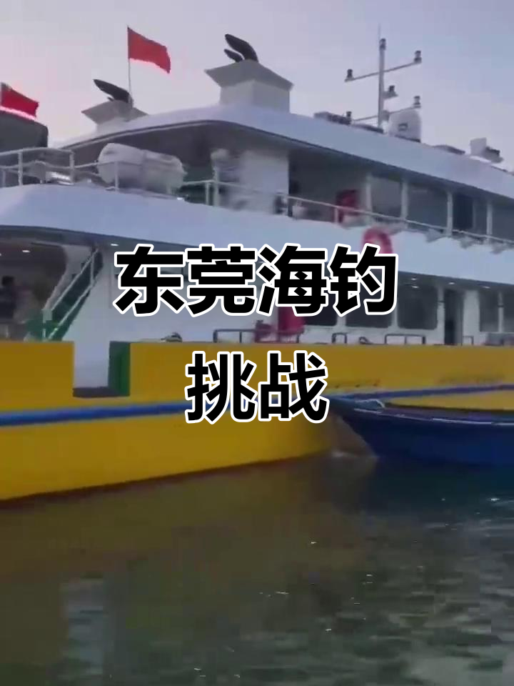 东莞海钓收费钓鱼(东莞海钓最好的几个地方)