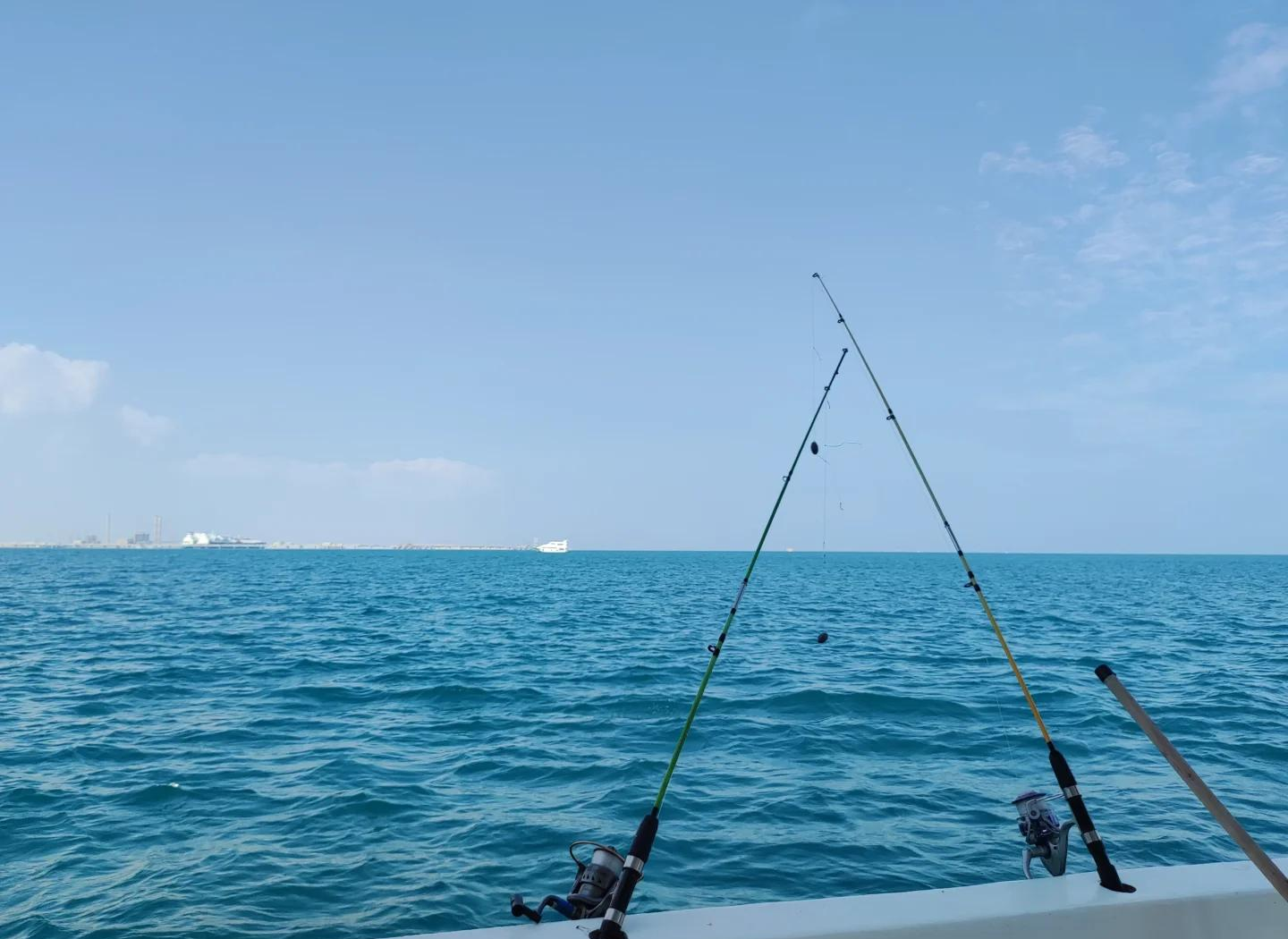 广州南沙烧烤海钓(南沙哪里野钓打海竿) 广州南沙烧烤海钓(南沙哪里野钓打海竿)