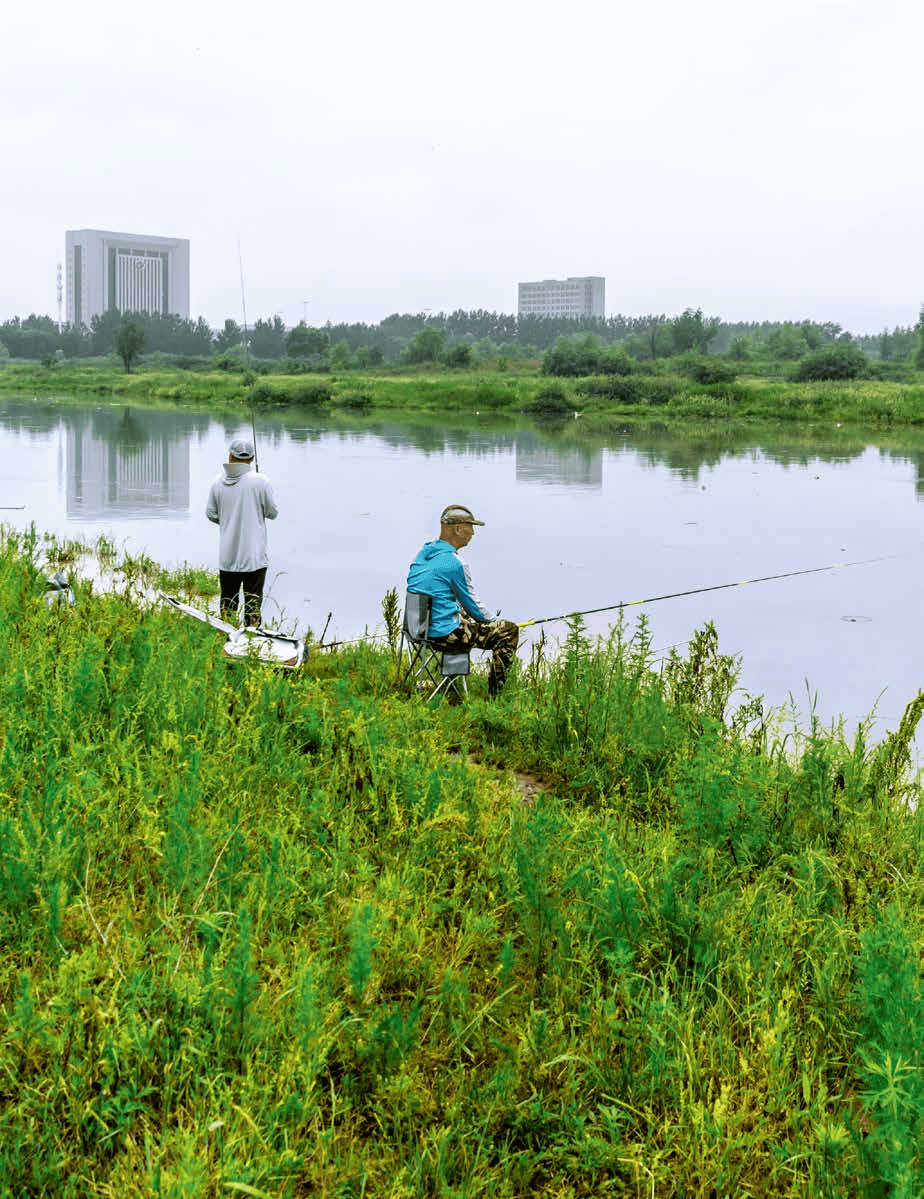 四海钓鱼天津(四海钓鱼联系方式)
