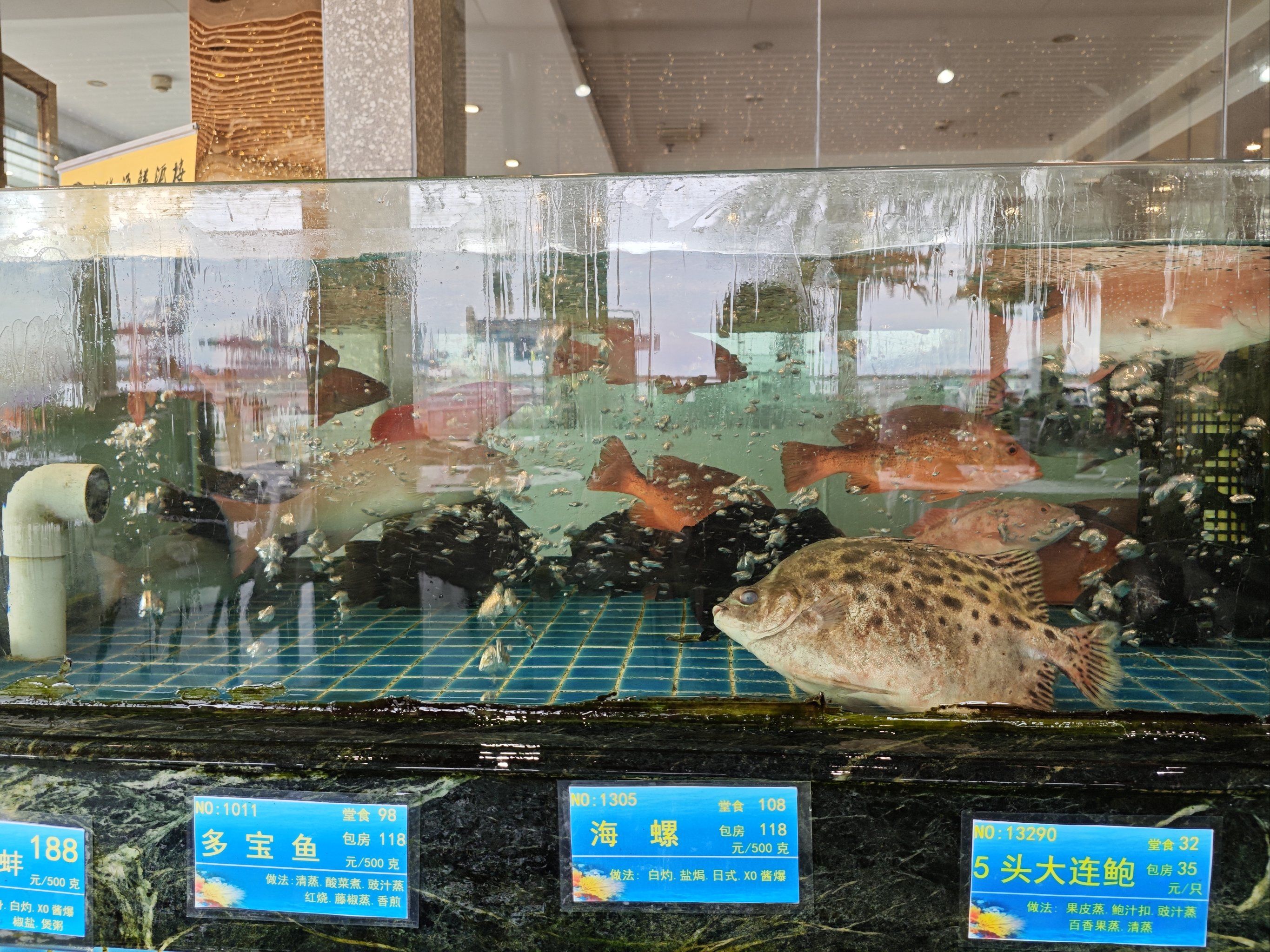 齐齐哈尔虹桥渔具店(迪佳渔具售后服务部电话)