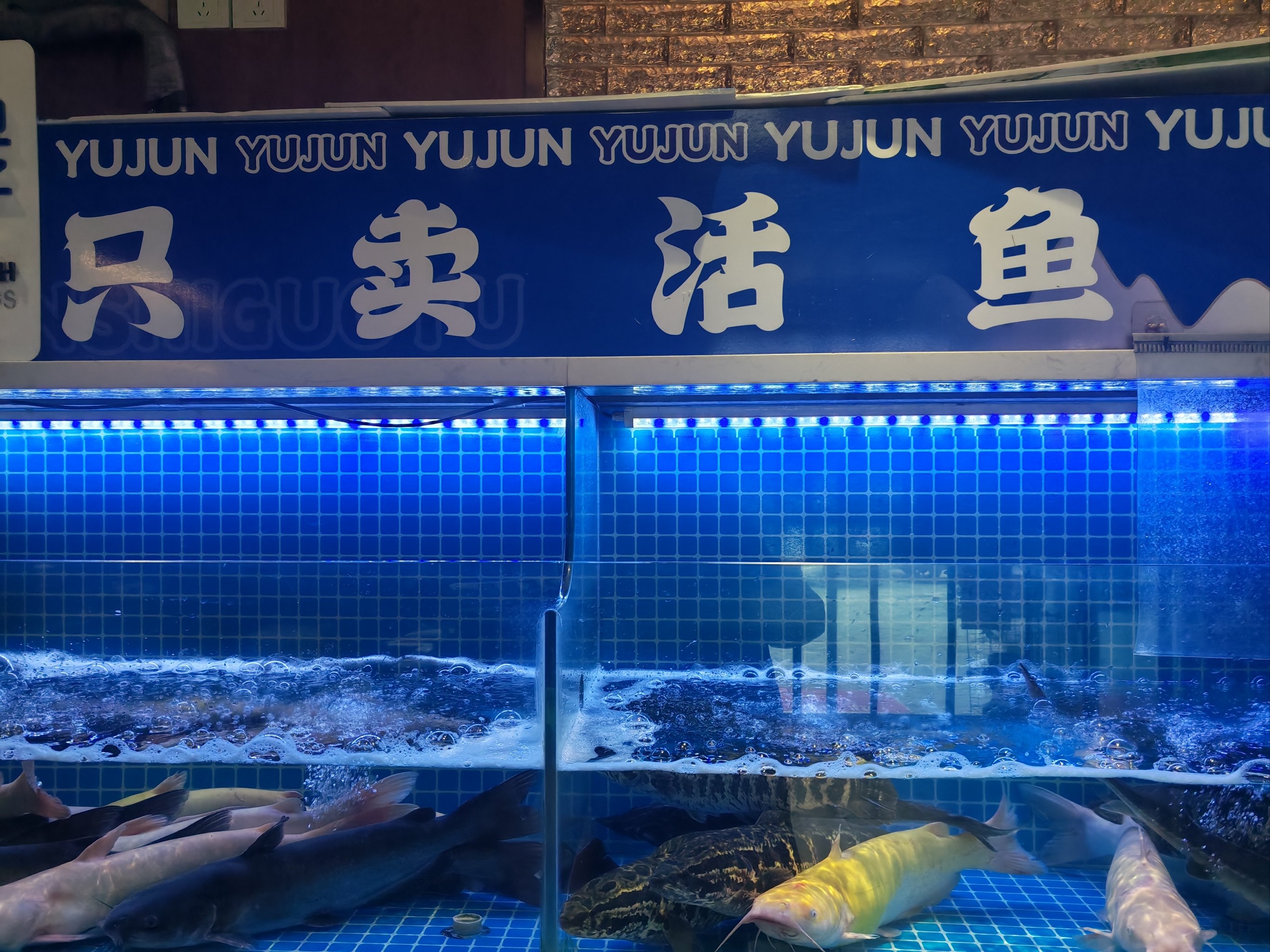 齐齐哈尔虹桥渔具店(迪佳渔具售后服务部电话)