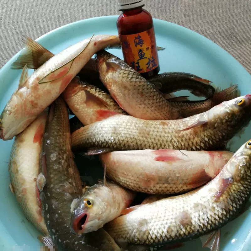 海围饵料(海钓饵料制作) 海围饵料(海钓饵料制作)