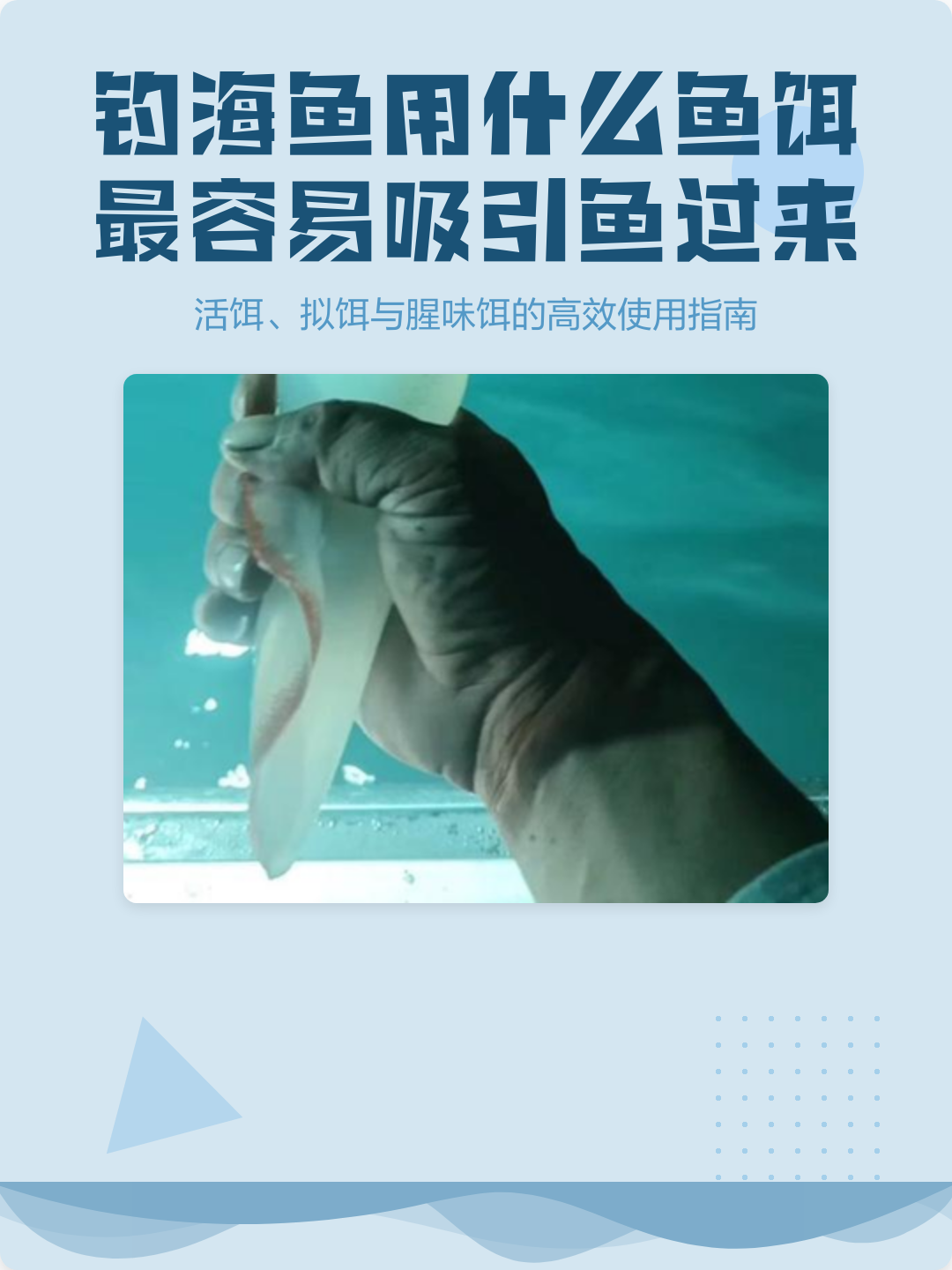 用什么鱼肉可以海钓(用什么鱼肉可以海钓鱼)