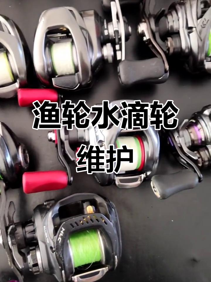 路亚水滴轮怎样保养(路亚水滴轮多久保养一次) 路亚水滴轮怎样保养(路亚水滴轮多久保养一次)