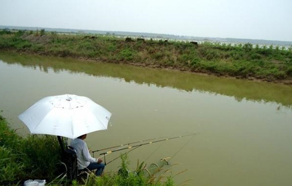 秋季钓水库鱼技巧(秋季钓水库鱼技巧图解) 秋季钓水库鱼技巧(秋季钓水库鱼技巧图解)