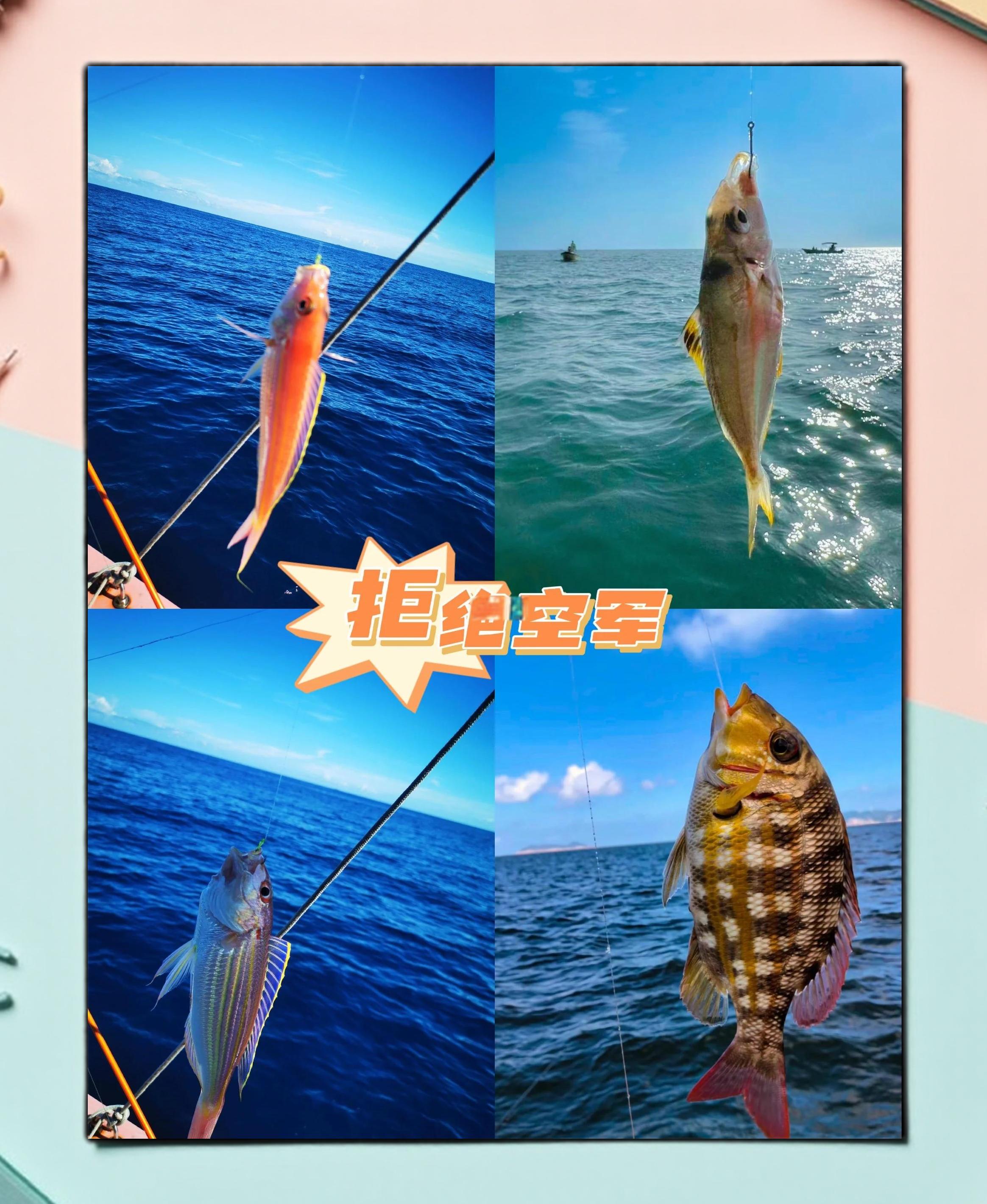 东山海钓視(东山岛鱼排海钓在哪里?)