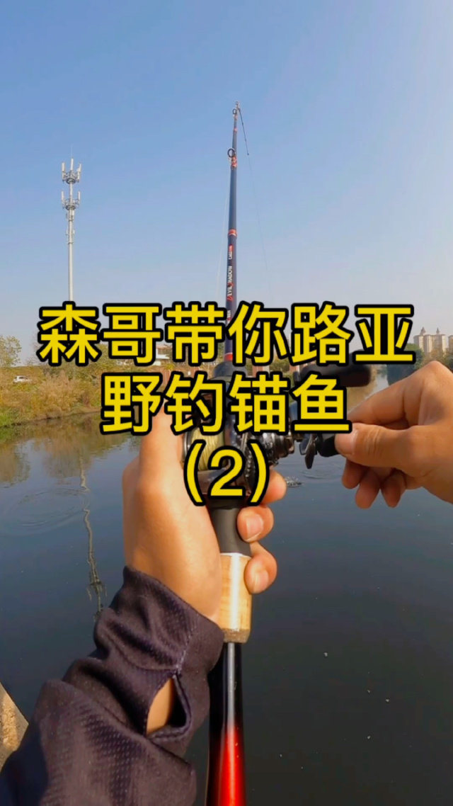 钓鱼路亚歌曲(钓鱼路亚教学视频)