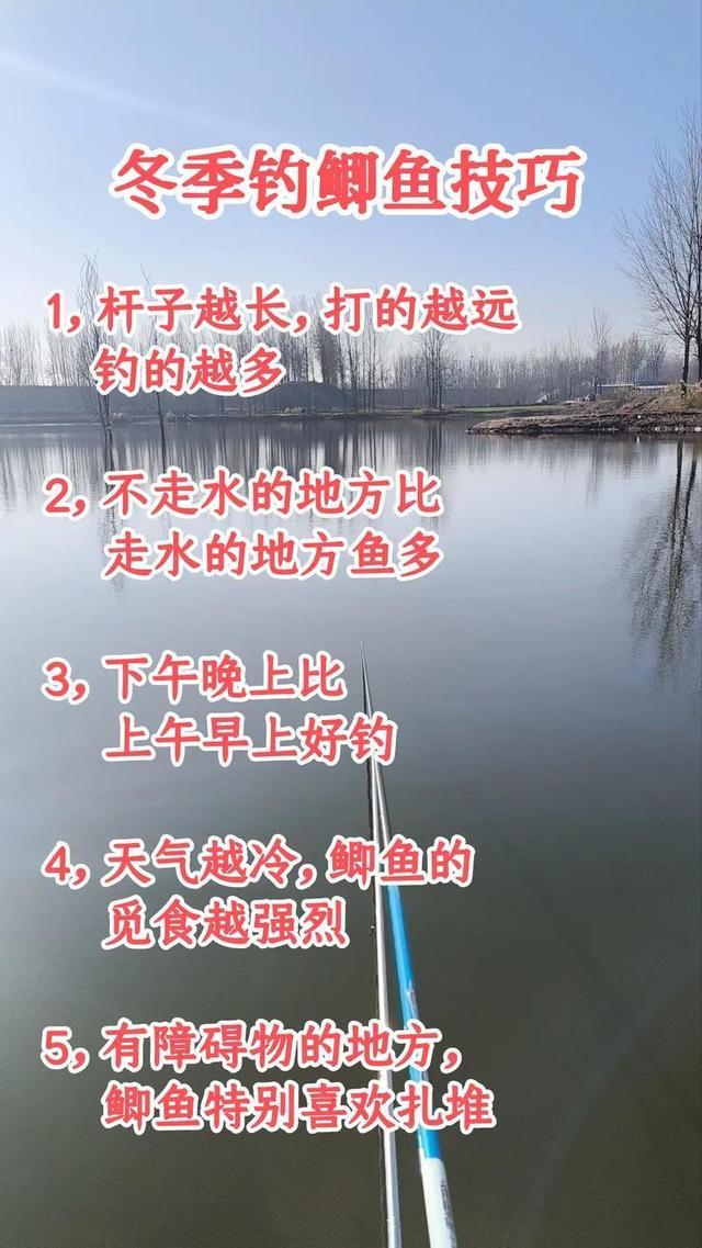 冰钓鲫鱼技巧天气(冰钓鲫鱼怎么调漂图解)