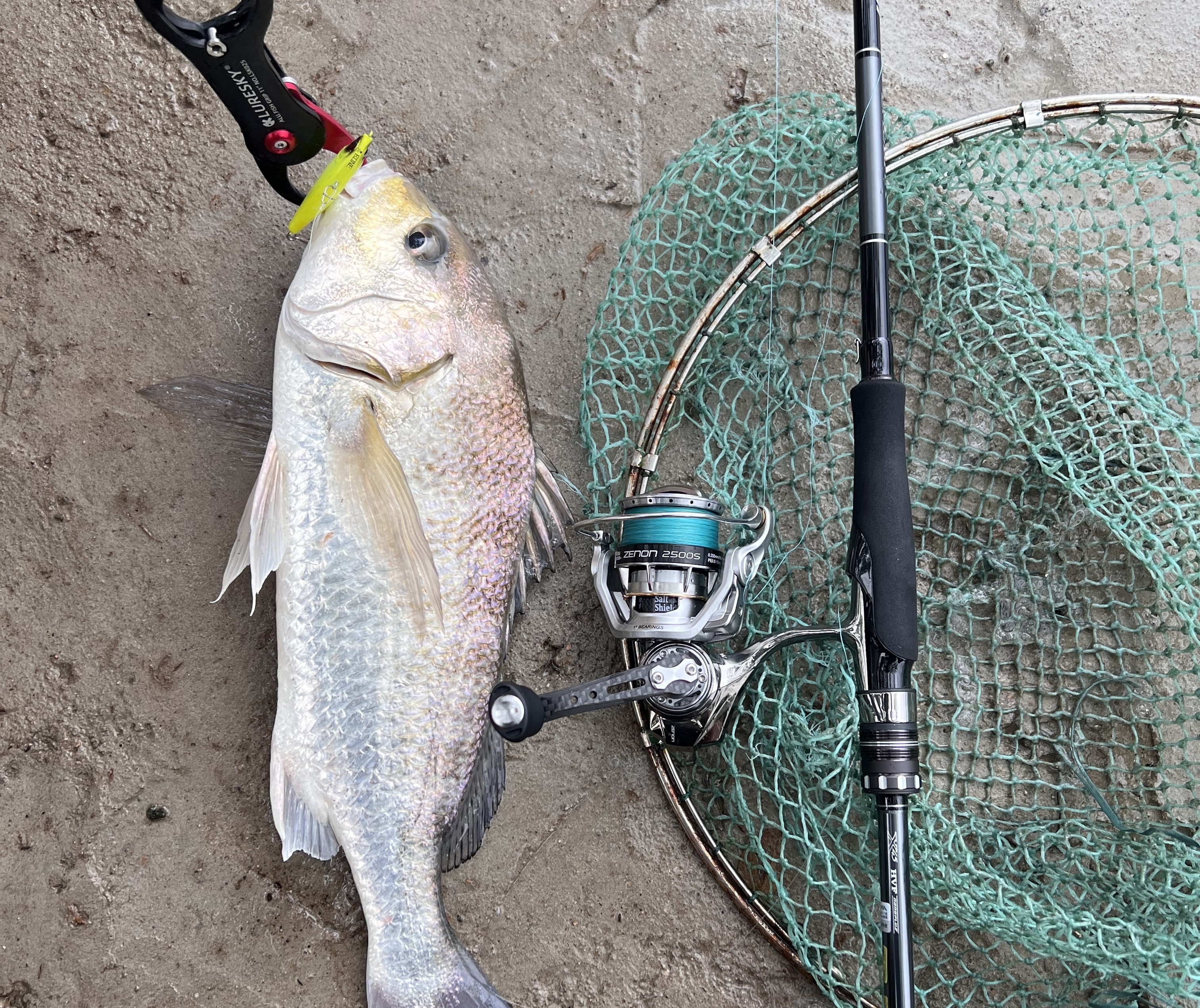 新丰渔具(新丰吃鱼哪里最好?) 新丰渔具(新丰吃鱼哪里最好?)