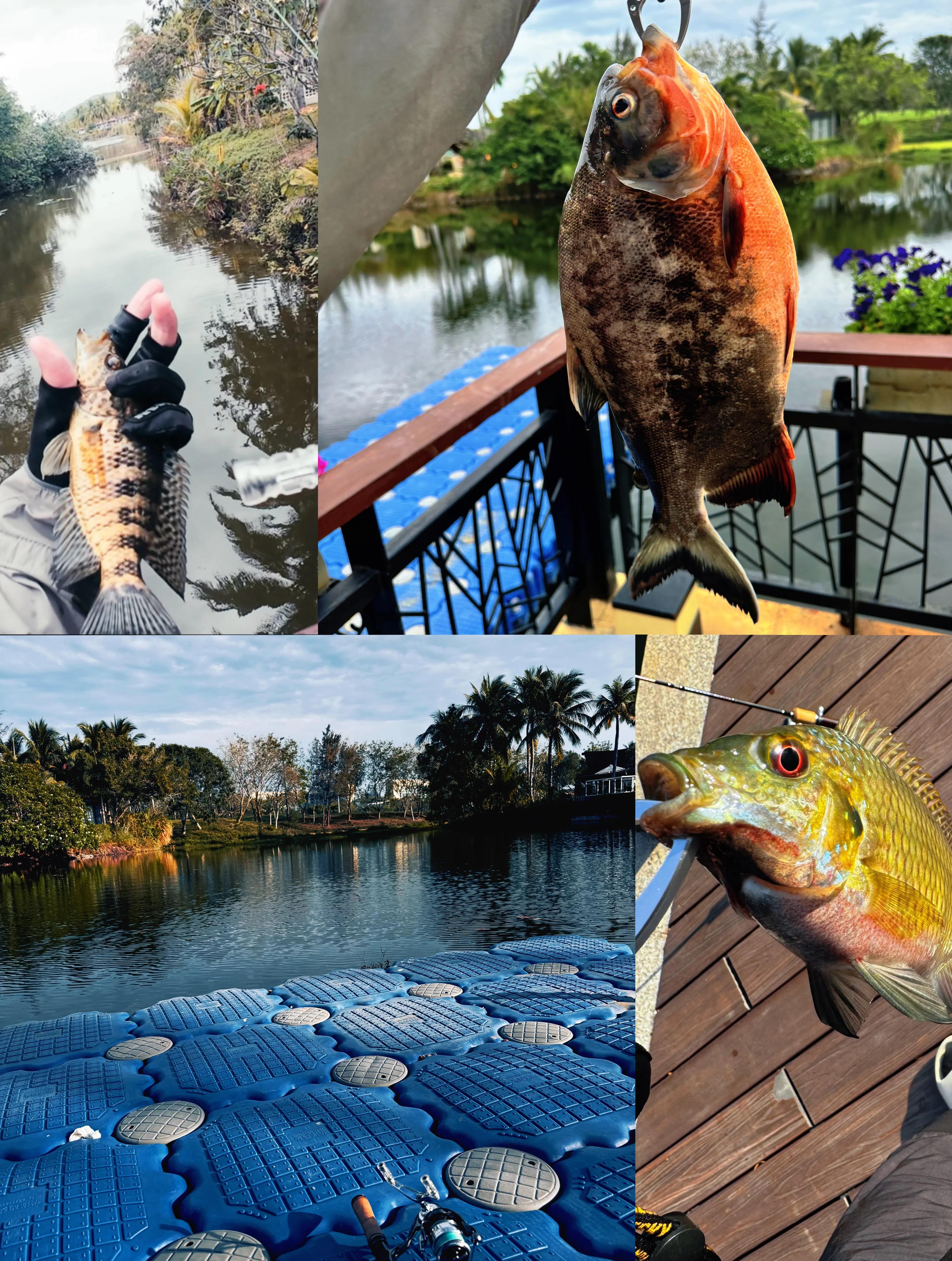 三亚哪里海钓的地方(三亚市内有哪些海钓的钓鱼点)