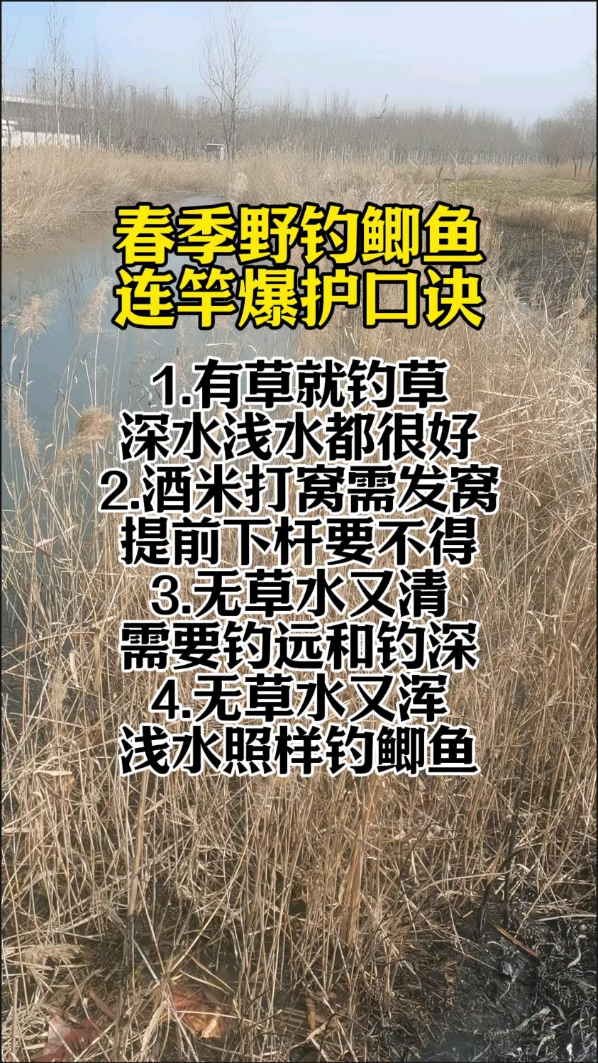 春天野钓鲫鱼技巧大全(春天野钓鲫鱼技巧大全视频)