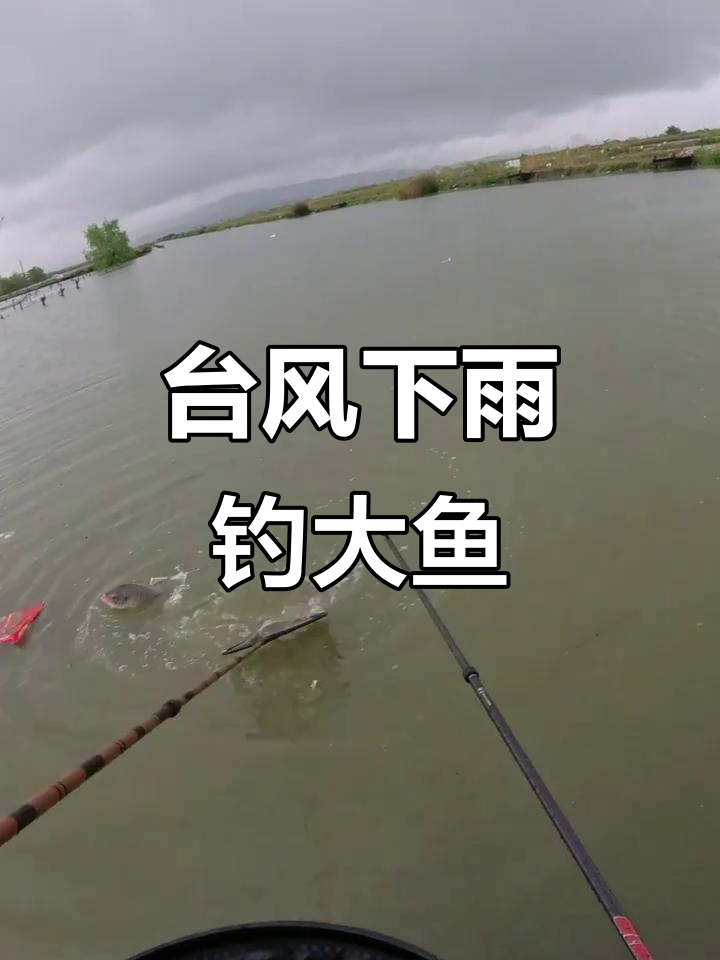 下雨后可以海钓吗(下雨后对海钓有没影响)