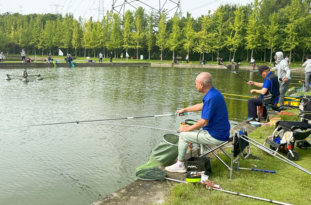 上海钓鱼春钓(上海钓鱼怎么钓)