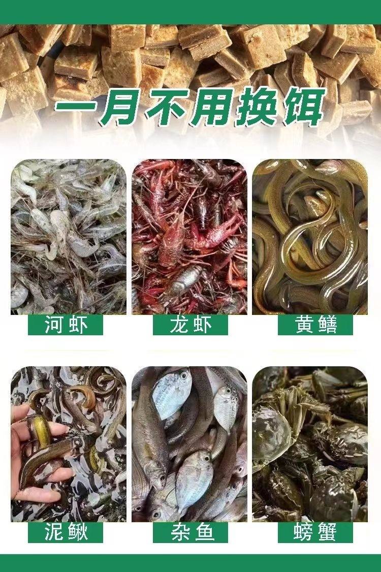 鳝鱼钩饵料(鳝鱼钩用什么材料制作)