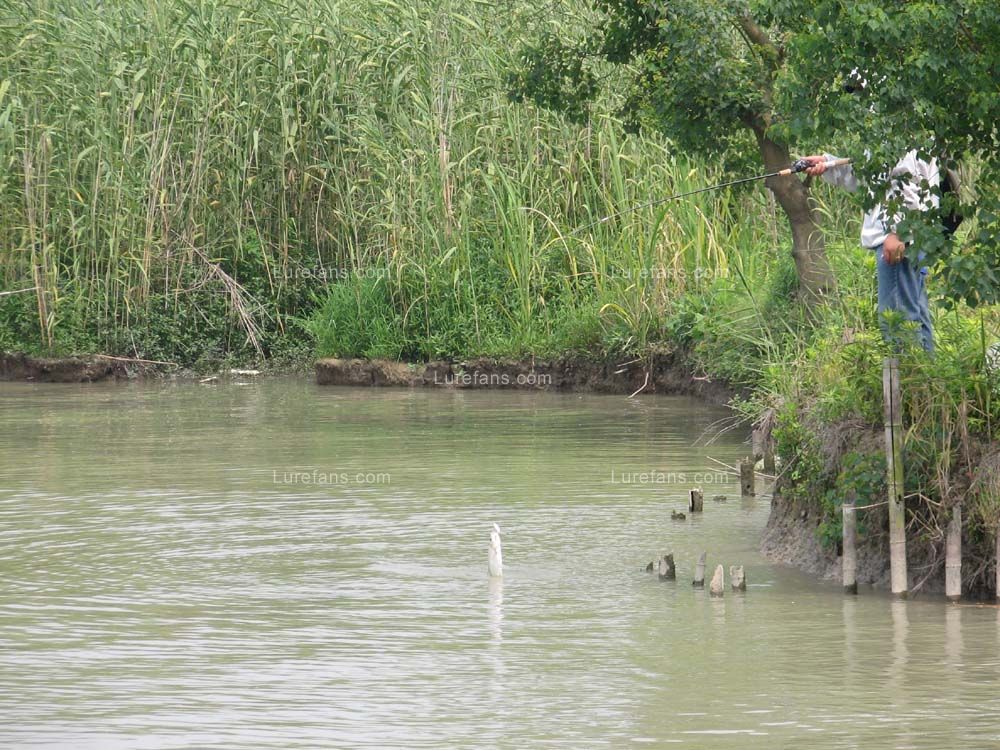 白塔湖路亚标点(塔山水库鱼有多大) 白塔湖路亚标点(塔山水库鱼有多大)