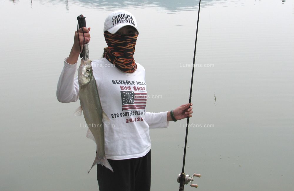 白塔湖路亚标点(塔山水库鱼有多大) 白塔湖路亚标点(塔山水库鱼有多大)