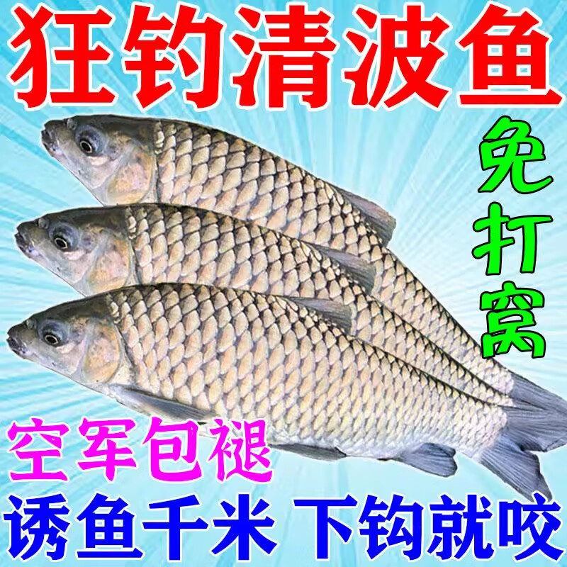 鱼吃各种饵料视频(鱼吃各种饵料视频大全) 鱼吃各种饵料视频(鱼吃各种饵料视频大全)