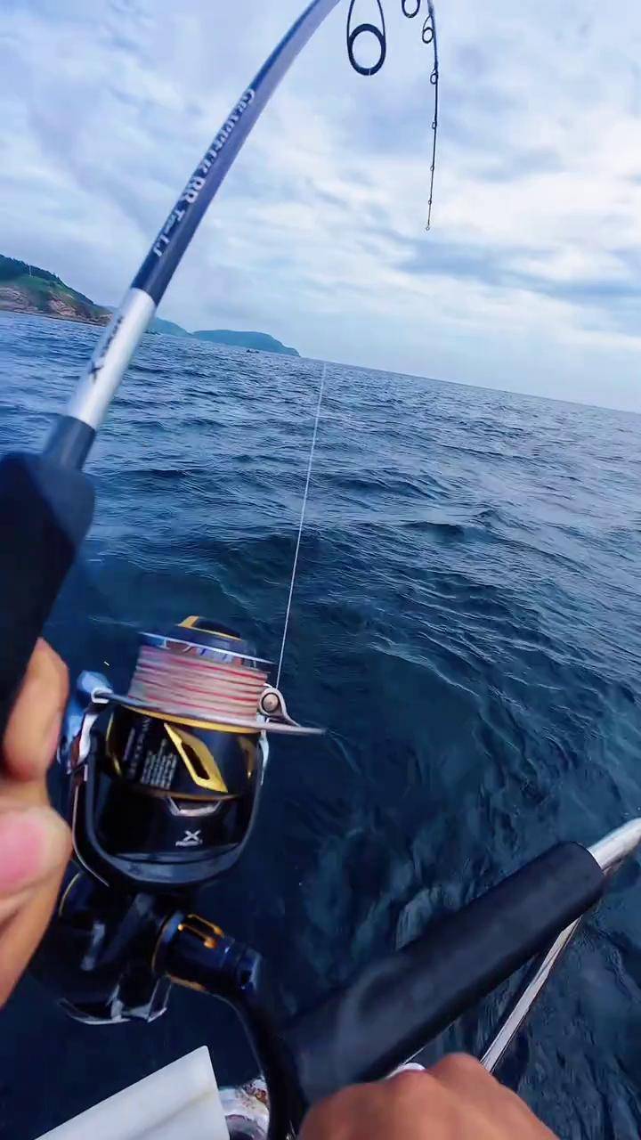 钓鱼海钓鱼视频大全(钓鱼海钓鱼视频大全下载) 钓鱼海钓鱼视频大全(钓鱼海钓鱼视频大全下载)