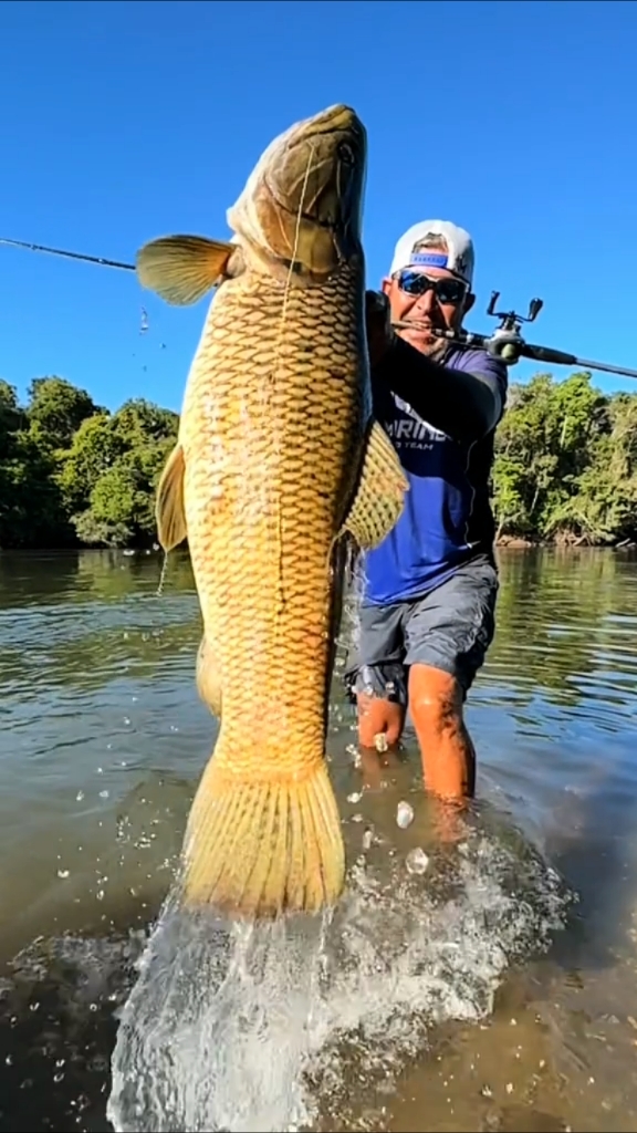 路亚鲤鱼视频(路亚鲤鱼线组图解) 路亚鲤鱼视频(路亚鲤鱼线组图解)