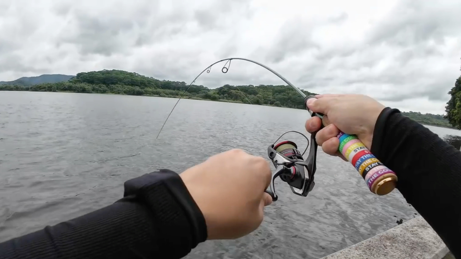 路亚视频美国(路亚视频美国美女)